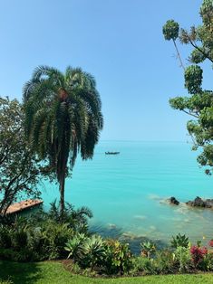 there is a boat that is in the water near some trees and plants on the shore