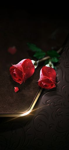 two red roses laying on top of a brown book with water droplets covering it's petals