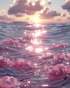 pink flowers floating in the ocean at sunset