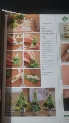 an open book showing instructions on how to make miniature trees