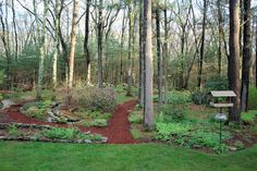 a path through the woods leading to a bench