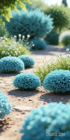 blue flowers are growing in the dirt near grass