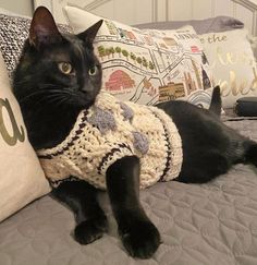 a black cat laying on top of a bed next to a pillow with a sweater on it