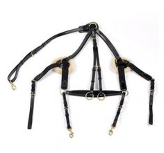 the bridle is made out of black leather