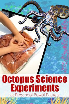 octopus science experiments at preschool powol packets by dr seussler, m d