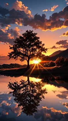 the sun is setting over a lake with a lone tree in it's reflection