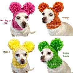 three dogs wearing knitted hats and scarves with pom - poms on their ears