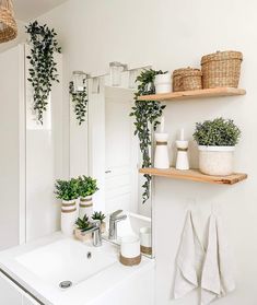 the bathroom is decorated in white and has plants on shelves above the sink, along with other accessories