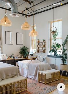 two beds in a room with hanging lights and plants on the wall next to them