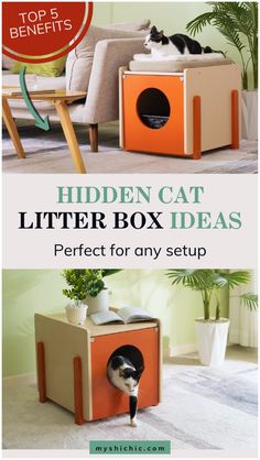 For modern design lovers, cat litter box furniture doesn’t have to disrupt your decor. Discover beautifully designed hidden litter box solutions and multi-cat litter box ideas that blend perfectly with small spaces. They can help you catify your home and offer a great solution for your apartment cat. Perfect for design-conscious pet owners who value both style and functionality. Hidden cat litter box ideas for benches & furniture will do wonders for your cat space. Read more at myshichic.com Apartment Pet