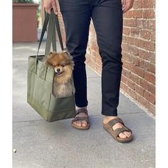 a person holding a bag with a small dog in it's pocket while standing next to a brick wall