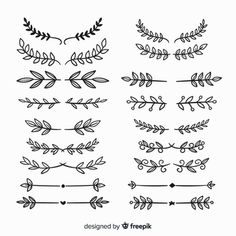 hand drawn leaves and branches set