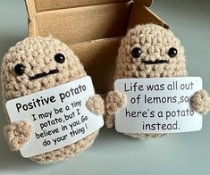 two crocheted stuffed toys holding signs in front of an open box that says positive potato