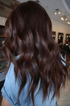 Redish Brown Hair, Brown Auburn Hair, Rich Brown Hair, Brown Hair Color Shades, Dark Fall Hair Colors, Warm Brown Hair, Dark Fall Hair, Cinnamon Hair, Rambut Brunette