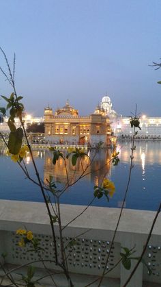 the golden temple is lit up at night with lights reflecting in the water behind it