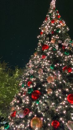 a large christmas tree is lit up at night