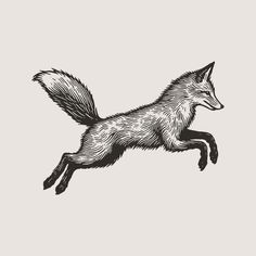 a black and white drawing of a fox jumping up in the air with it's tail