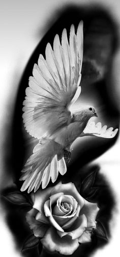 a black and white photo of a bird flying over a rose