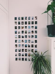 a potted plant sitting on top of a white table next to a wall covered in photos