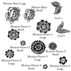 mexican flowers and their names are shown in black and white, with the words mexican rose on