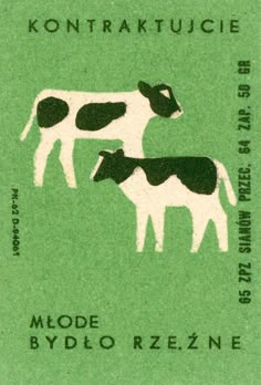 a stamp with two black and white cows on green paper, in front of the words kontraktjucie