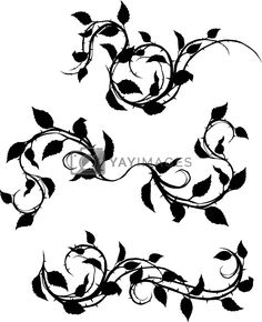 a set of floral design elements with leaves and flowers, vintage line drawing or engraving