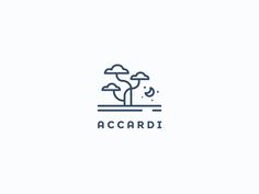 the logo for acccardi, a company that sells products to people in their 20s