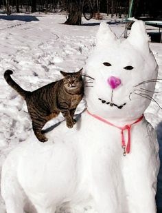 a cat is standing on top of a snowman that looks like a cat with its mouth open