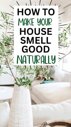 a white vase with green plants in it and the words how to make your house smell good naturally