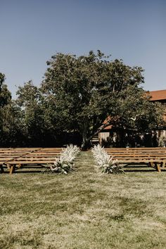 rows of wooden benches lined up in front of a building with trees on the other side