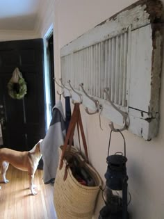 a dog is standing in the hallway next to a basket and coat rack with clothes hanging on it