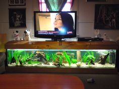 a flat screen tv sitting on top of a wooden table next to a fish tank