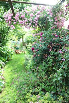 the garden is full of pink flowers and greenery