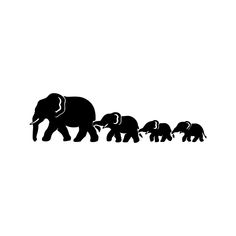 an elephant family is walking in the same direction as their baby ones, black and white