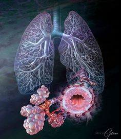 Lungs Art, Microscopic Photography, Human Anatomy And Physiology, Medical Art