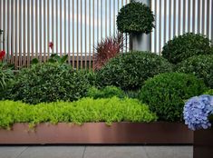 a large metal planter filled with lots of green plants