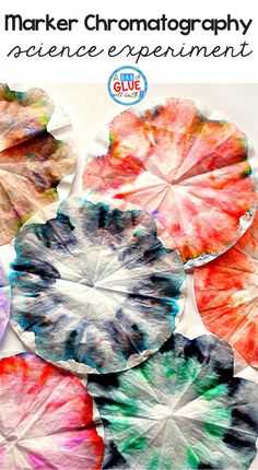 paper plate art project for kids to make with water chromatographs and glue