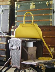 Moynat Bag, Luxury Outfit, Bag Ideas, Branded Handbags, Beautiful Bags, Luxury Outfits, Top Handle Bag, Women's Fashion, Purse