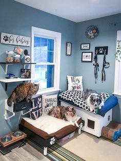 two cats sitting on top of beds in a room with blue walls and flooring