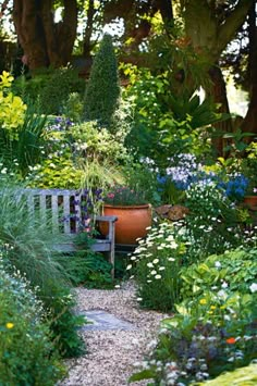 a garden filled with lots of different types of flowers and plants next to a wooden bench