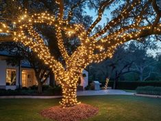 a lighted tree in front of a house at night with lights all around the branches