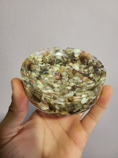 a hand holding a glass bowl filled with sea shells