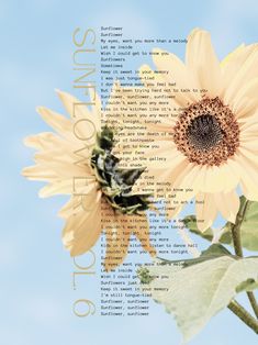 two sunflowers are shown against a blue sky with words written in the background