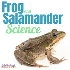 a frog and salamander science book cover with the title on it's front