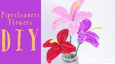 three flowers in a vase with the words diy written on it and an image of two