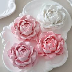 three pink and white flowers sitting on top of a white plate next to each other