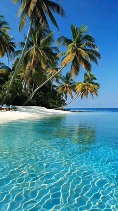 an empty beach with palm trees and blue water in the foreground, surrounded by white sand