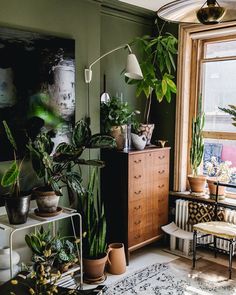 a living room filled with lots of plants next to a window and a chair in front of it