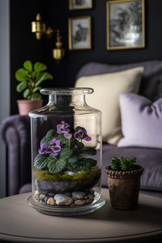 Flowering plant terrarium in purple aesthetic living room Plants In Jars, Inside Garden, Aquarium Terrarium, Indoor Gardens, Garden Terrarium, House Plants Decor, Home Decorating Ideas