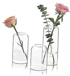 three glass vases with flowers in them